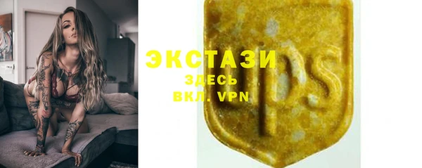 гидра Абаза