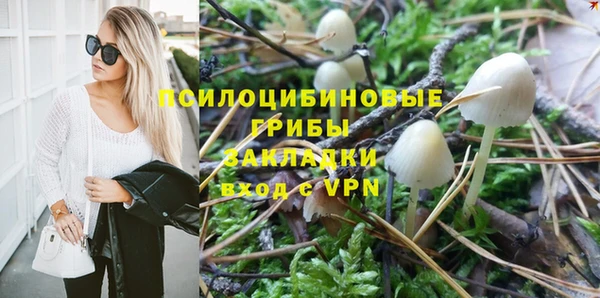 гидра Абаза