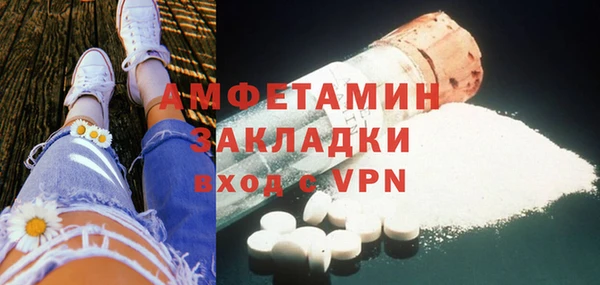 гидра Абаза